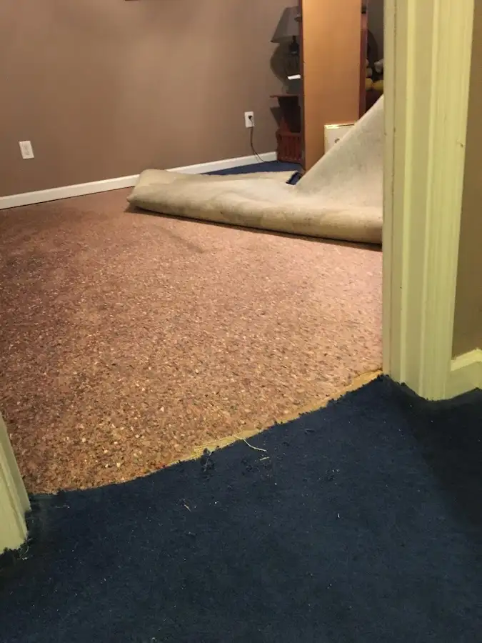 Carpet pad removal revealing water damage during Drying & Dehumidification in Hornell