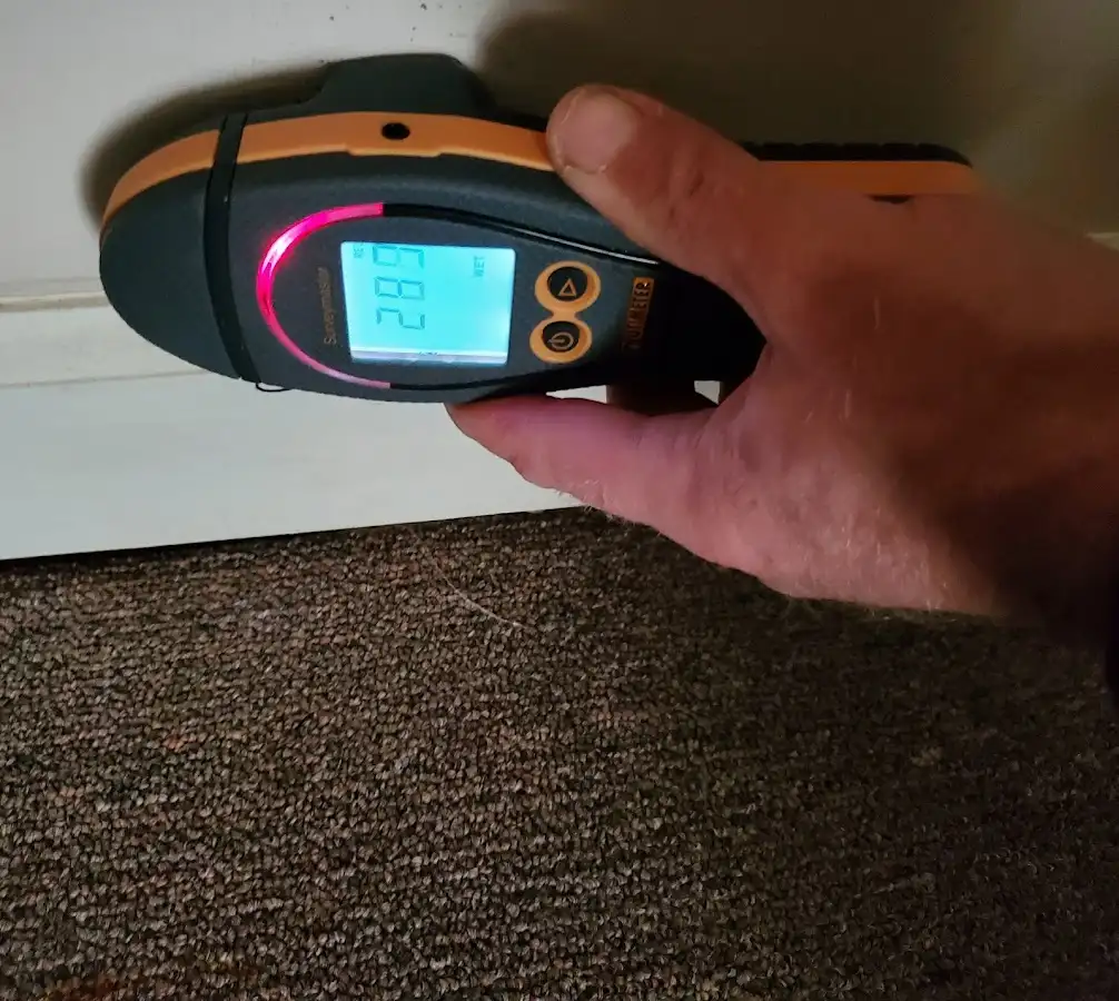 Moisture detection at baseboard during Mold Inspection & Testing in Hornell